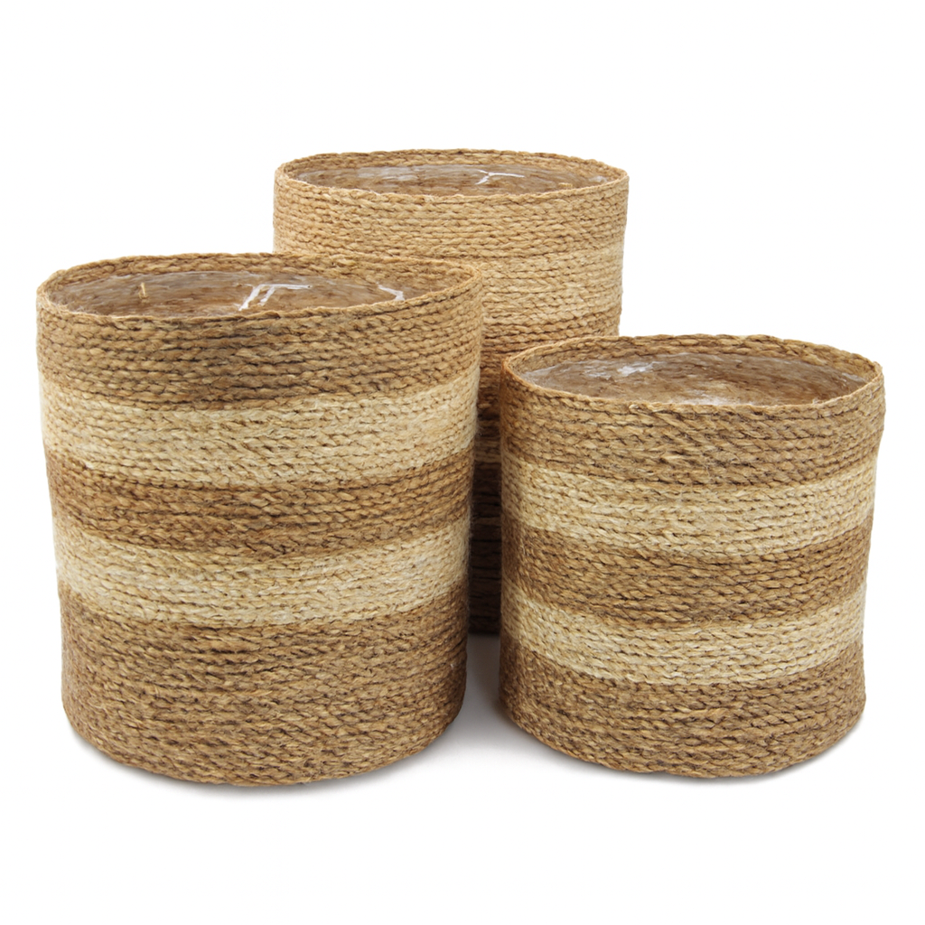 Handwoven Sea-Grass Planter Basket – Natural Charm with Protection(Set Of 3)